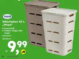 Globus Baumarkt Tontarelli Wäschebox 45 L „Maya“ Angebot