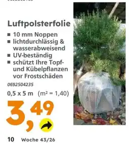 Globus Baumarkt Luftpolsterfolie Angebot