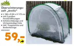 Globus Baumarkt Überwinterungszelt „Arctic“ Angebot