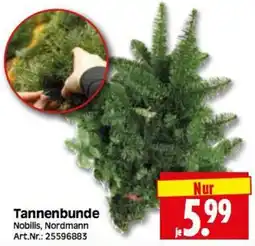 Herkules Baumarkt Tannenbunde Nobilis, Nordmann Angebot