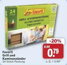 Combi Favorit Grill und Kaminanzünder Angebot
