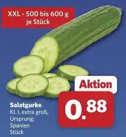 Combi Salatgurke Angebot