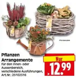 Herkules Baumarkt Pflanzen Arrangements Angebot