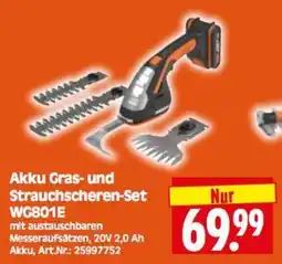 Herkules Baumarkt Akku Gras- und Strauchscheren-Set WG801E Angebot
