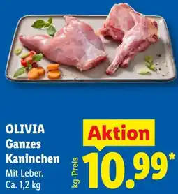 Lidl OLIVIA Ganzes Kaninchen Angebot