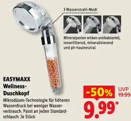 Lidl EASYMAXX Wellness Duschkopf Angebot