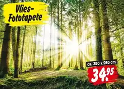 Repo Markt Vlies Fototapete Angebot