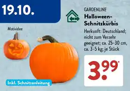 Aldi Süd GARDENLINE Halloween-Schnitzkürbis Angebot