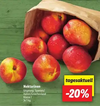 Lidl Nektarinen 1kg Angebot