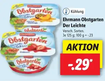 Lidl Ehrmann Obstgarten Der Leichte 125g Angebot