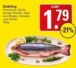 WEZ Saibling Angebot