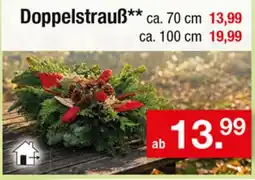 Zimmermann Doppelstrauß** Angebot