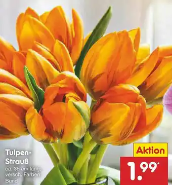 Netto Marken-Discount Tulpen-strauß Angebot