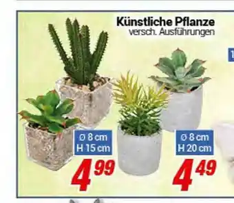 CENTERSHOP Künstliche Pflanze Angebot