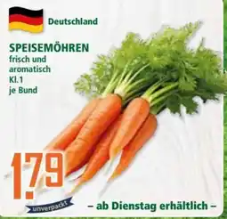 Klaas und Kock SPEISEMÖHREN Angebot