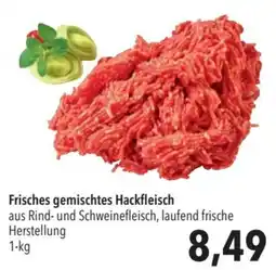 CITTI Markt Frisches gemischtes Hackfleisch Angebot