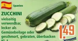 Klaas und Kock ZUCCHINI Angebot
