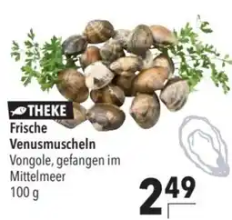 CITTI Markt THEKE Frische Venusmuscheln Angebot