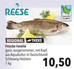 CITTI Markt REESERische Forelle Angebot