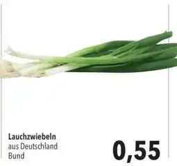 CITTI Markt Lauchzwiebeln Bund Angebot