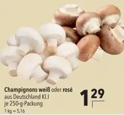 CITTI Markt Champignons weiß oder rosé Angebot