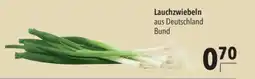 CITTI Markt Lauchzwiebeln Bund Angebot