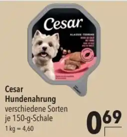 CITTI Markt Cesar Hundenahrung Angebot