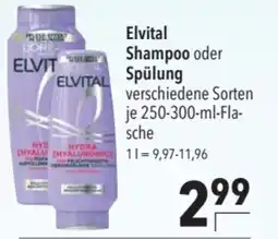 CITTI Markt Elvital Shampoo oder Spülung Angebot