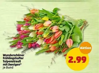 PENNY Wunderschöner Frühlingshafter Tulpenstrauß Mit Zweigen Angebot