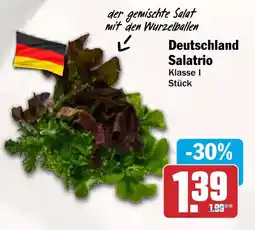 AEZ Deutschland Salatrio Angebot
