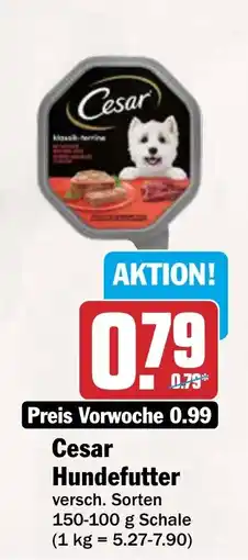 AEZ Cesar Hundefutter Angebot