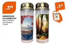 Müller AMBROSSIUS LED GRABLICHT Angebot