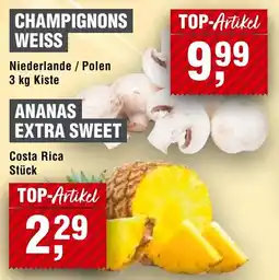 Handelshof CHAMPIGNONS WEISS Angebot