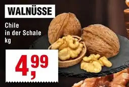 Handelshof WALNÜSSE Chile Angebot