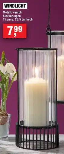 Handelshof Windlicht Angebot