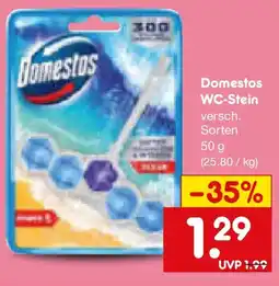 Netto Marken-Discount Domestos WC-Stein Angebot