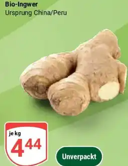 Globus Bio-Ingwer Angebot