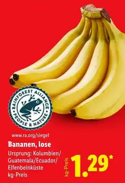 Lidl Bananen, lose Angebot