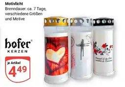 Globus hofer KERZEN Angebot