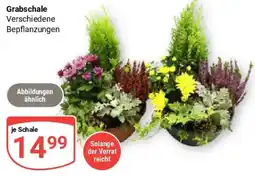 Globus Grabschale Angebot