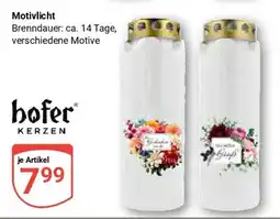 Globus hofer KERZEN Motivlicht Angebot