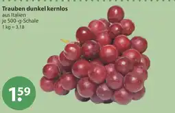 V Markt Trauben dunkel kernlos Angebot