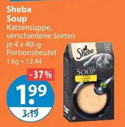 V Markt Sheba Soup Angebot