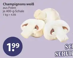 V Markt Champignons weiß Angebot