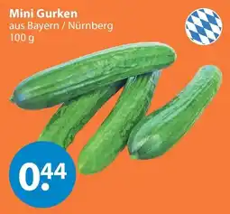 V Markt Mini Gurken Angebot