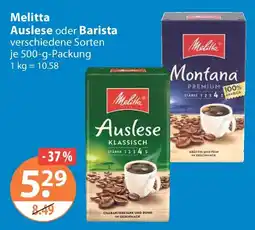 V Markt Melitta Auslese Angebot