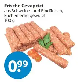 V Markt Frische Cevapcici Angebot