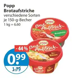 V Markt Popp Brotaufstriche Angebot