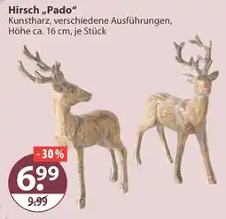 V Markt Hirsch "Pado" Angebot