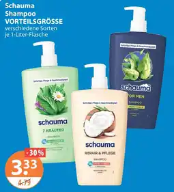 V Markt Schauma Shampoo Angebot